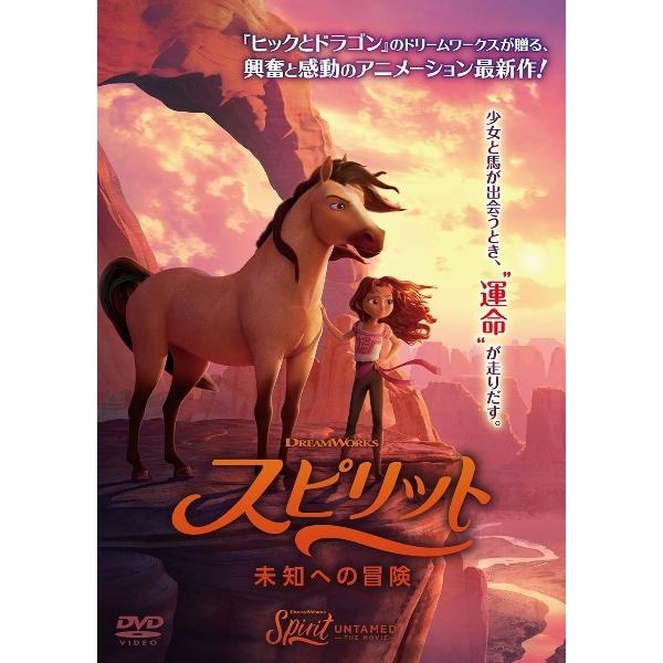 【中古】 スピリット 未知への冒険 [レンタル落ち] [DVD]