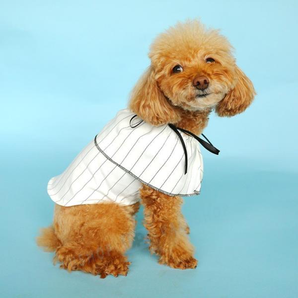 犬 服 ペットウェア 女の子 かわいい ワンピース チワワ お得セット ダックス 素敵 おしゃれ