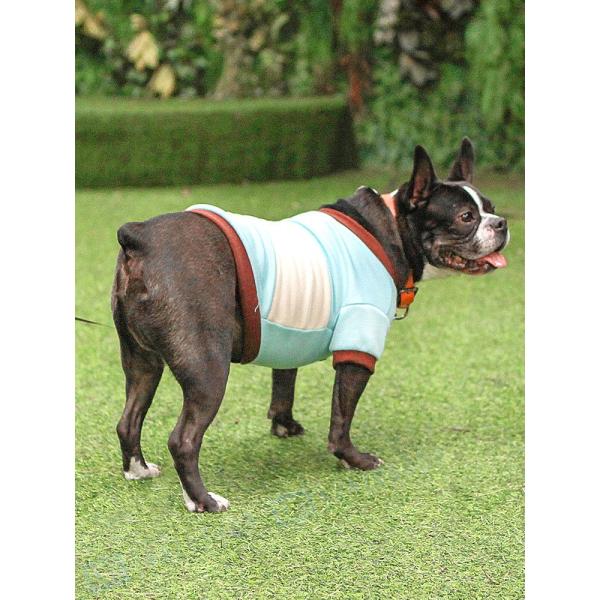パーカー 遊び ペット用品 快適 秋 おしゃれ 春夏 かわいい 犬服 出かけ 2色 使い勝手の良い 新作