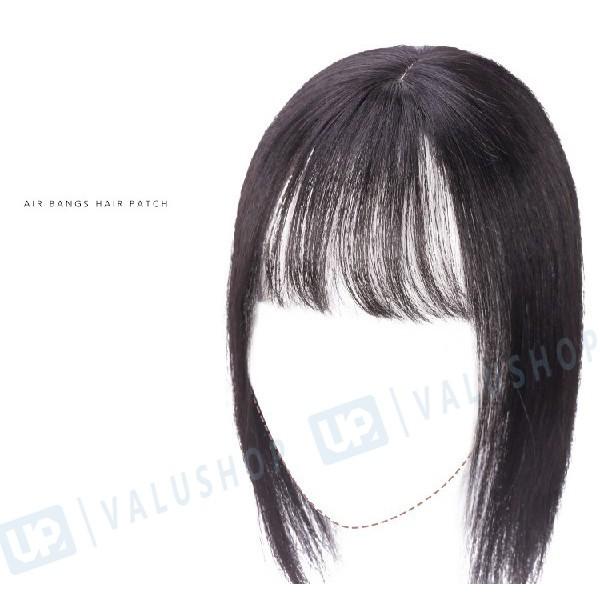 直営限定アウトレット 白髪を隠す レディース 髪形を変える 髪の量増えす 自然 長髪 短い 前髪 付けやすい