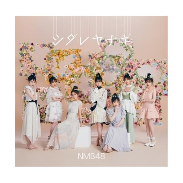新古品) NMB48 ／ シダレヤナギ(通常盤Type-A)(DVD付) (CD)