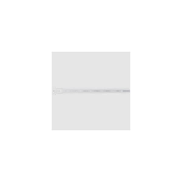 YAZAWA�@���s�[�g���˂�o���h 150mm 20�{���@FTR150W20