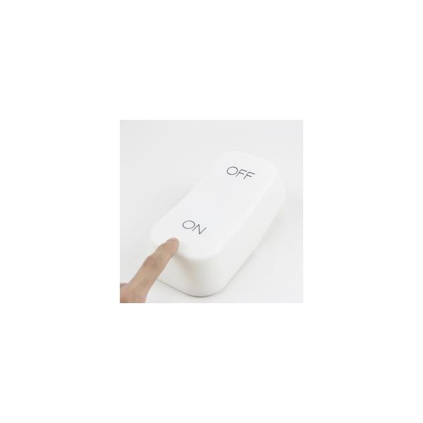 ONEON ON OFF LAMP �z���C�g ONOFLAW