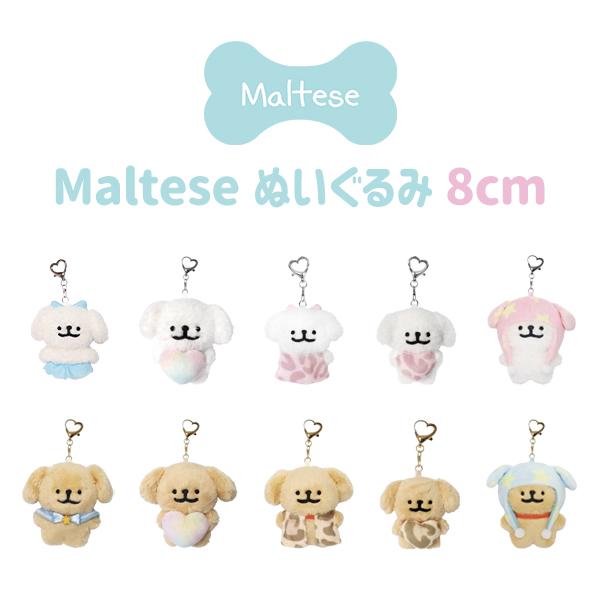 【正規代理店】モルチーズ ぬいぐるみ Sサイズ 8cm モルチーズ&レトリバー マルチーズ マスコット キーリング キーホルダー キーチェーン 韓国 ネコポス