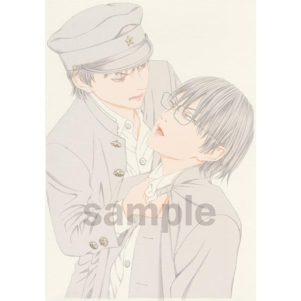 vanilla-gallery_hf008os
