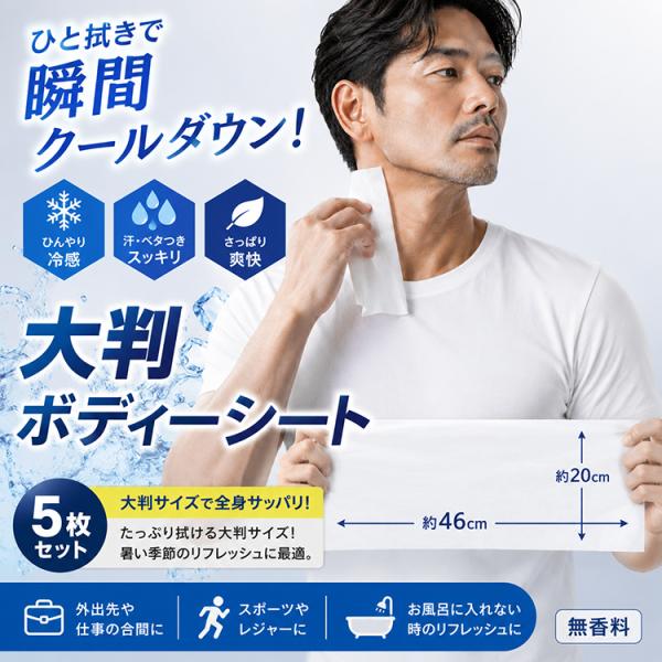 冷感 ボディシート 大判 46×20cm 5枚セット 個包装 無香料 冷却シート クールシート 汗拭きシート 冷感シート 暑さ対策 スポーツ
