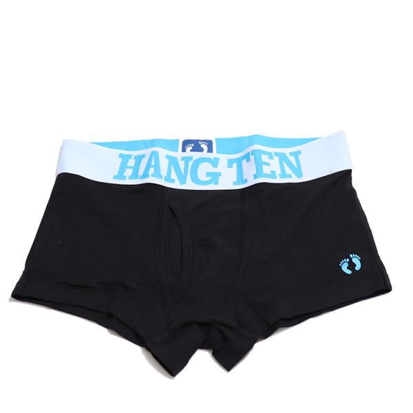 HANG TEN VINTAGE TEN(ハンテン)メンズ ボクサーパンツ 前ひらき