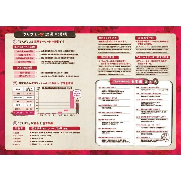 フルーツハーブ サンザシ ドリンク 900ml 3本セット 美容ドリンク 健康ドリンク ジュース さんざし 山査子 送料無料 /【Buyee】 フルーツハーブ サンザシ ドリンク 900ml 3本セット 美容ドリンク 健康ドリンク ジュース さんざし 山査子 送料無料 /【Buyee】