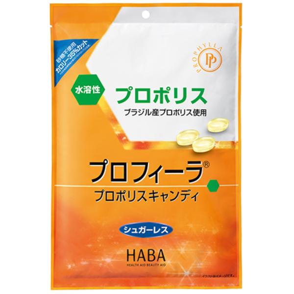 水溶性プロポリスを配合した、心地よい爽快感でのどがスッキリするプロポリスキャンディです。まろやかでさっぱりとした甘さの還元麦芽糖水飴を使用。カロリーが気になる方にもオススメです。水溶性プロポリスには、厳選されたブラジル産プロポリスのみを原料...