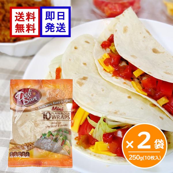 デリサン ミニフラワートルティーヤ 250g 10枚入 2袋セット トルティーヤ タコス ラップサンド ピザ パーティー キャンプ