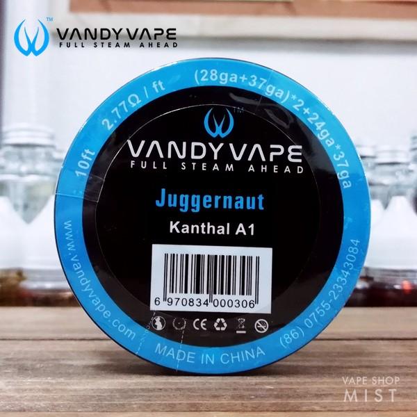 正規品 Juggernaut Wire ジャガーノートワイヤー Vandy Vape Vape ワイヤー Buyee Buyee 日本の通販商品 オークションの代理入札 代理購入