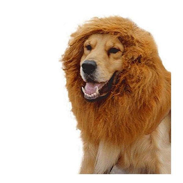 ★この商品は送料無料です。商品の発送はゆうパケットでの発送となります。（代引支払はできません）★ゆうパケットに関しては配送時の保証がございません。★化粧箱を外して簡易包装で発送する場合がございます。★この商品には、メーカー保証ございません。...