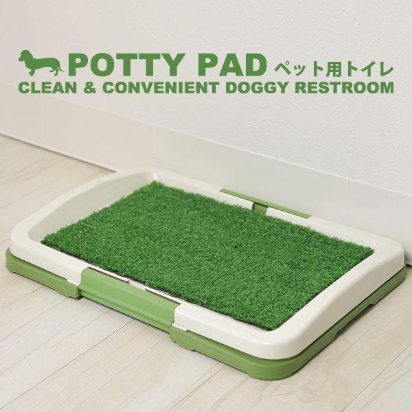 ysAiz񂿂̂Ƀsb^!lHŐł񂿂сybgpgC gC  __