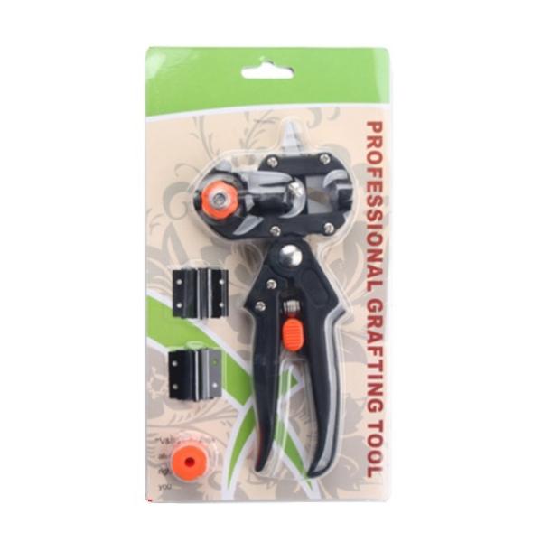 ysAizڂ oT~ ڂؗp̐nt __