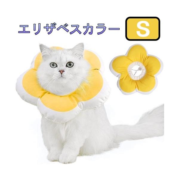 ★商品の発送は定形外郵便での発送となります。（代引支払は不可、荷物の追跡不可）★定形外郵便に関しては配送時の保証がございません。★化粧箱を外して簡易包装で発送する場合がございます。