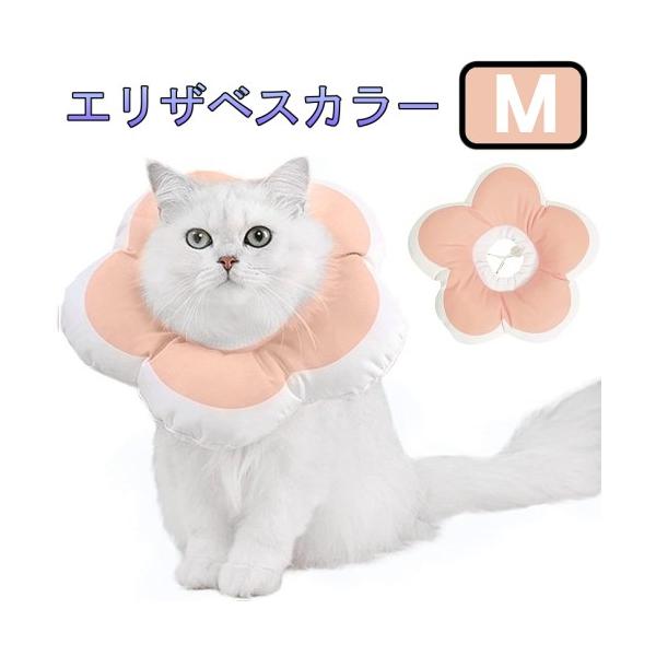 ★商品の発送は定形外郵便での発送となります。（代引支払は不可、荷物の追跡不可）★定形外郵便に関しては配送時の保証がございません。★化粧箱を外して簡易包装で発送する場合がございます。