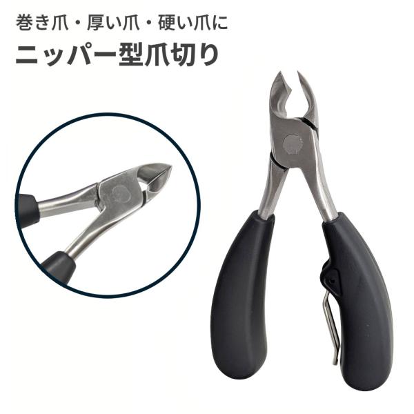 ★この商品は送料無料です。商品の発送はゆうパケットでの発送となります。（代引支払はできません）★ゆうパケットに関しては配送時の保証がございません。★化粧箱を外して簡易包装で発送する場合がございます。