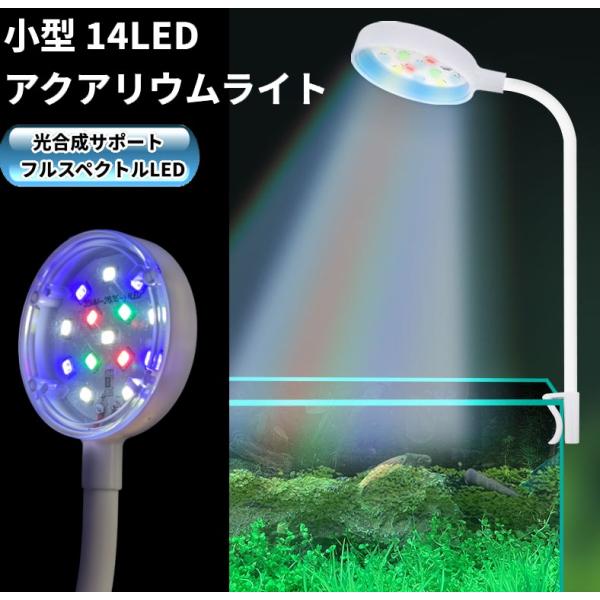 ★商品の発送は定形外郵便での発送となります。（代引支払は不可、荷物の追跡不可）★定形外郵便に関しては配送時の保証がございません。★化粧箱を外して簡易包装で発送する場合がございます。