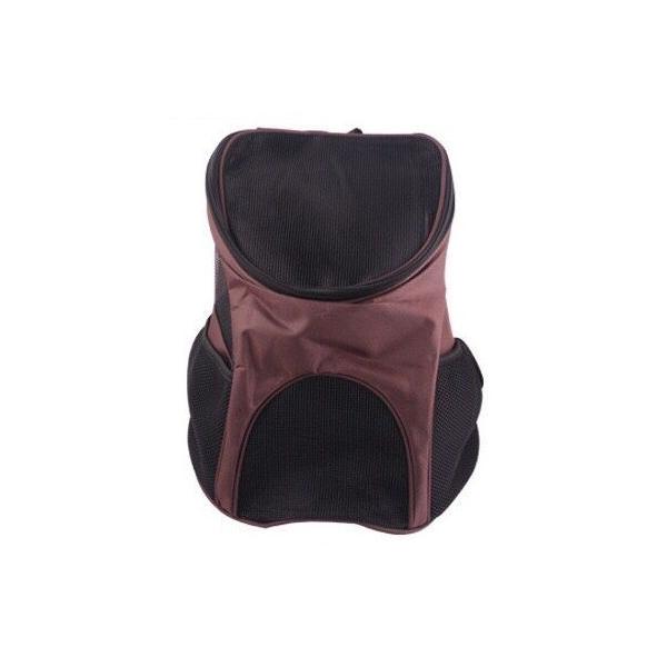 ysAizybgp bNTbN uE LTCY ʋC o L[ __