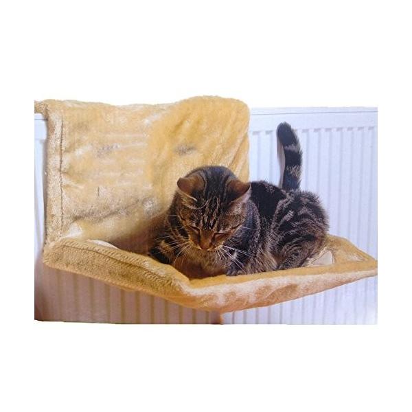 ysAiz났 Lbg`FA Lp NbV xbh __