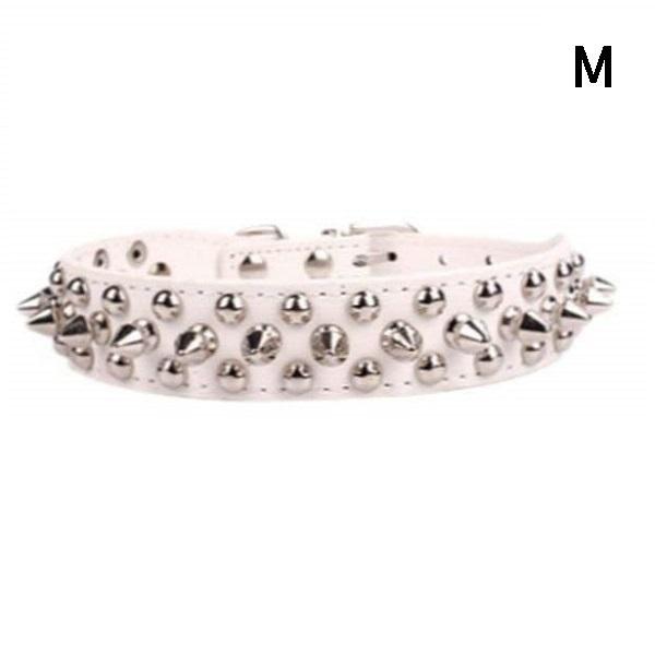 ysAizp X^bY  ybg gQgQ Ch XpCN (M, zCg) _