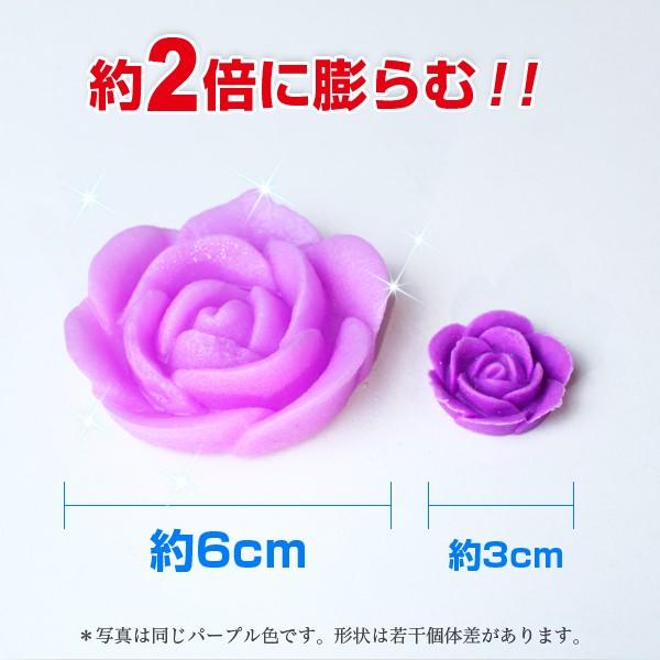 フラワージェリー バラ 薔薇 ローズ 水で膨らむ ビーズ ハイドロカルチャー アクアジェリーボール バブルジェリー マジック 観葉植物 Diy Buyee Buyee 提供一站式最全面最專業現地yahoo Japan拍賣代bid代拍代購服務 Bot Online