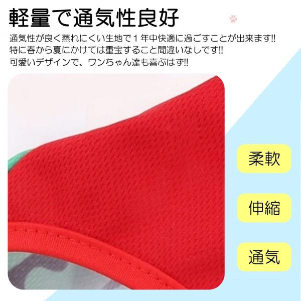 various-goods_p6ms_2_d_20260129115221