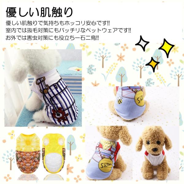 various-goods_p6ms_3_d_20260129115223