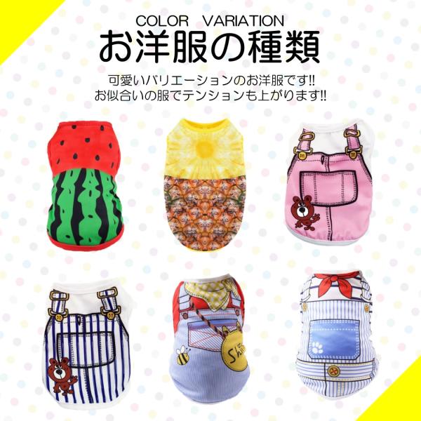 various-goods_p6ms_4_d_20260129115225