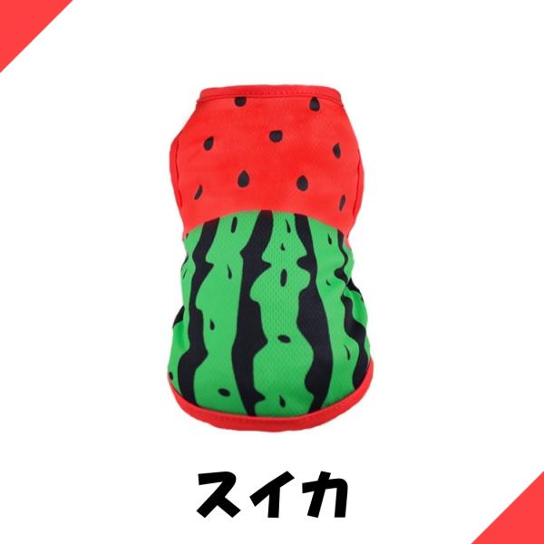 various-goods_p6ms_5_d_20260129115227