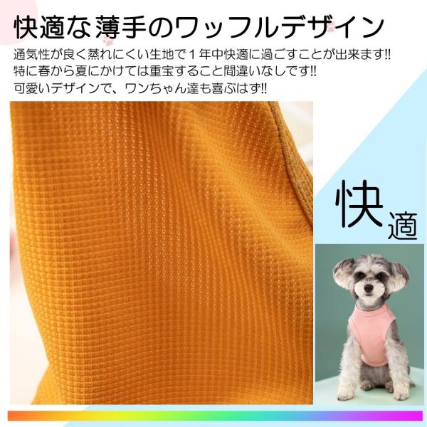 various-goods_p6wf_2_d_20260216165546