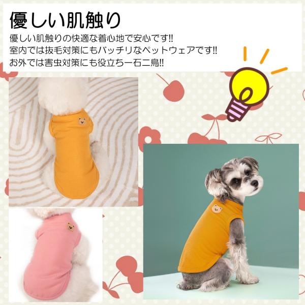 various-goods_p6wf_3_d_20260216165549