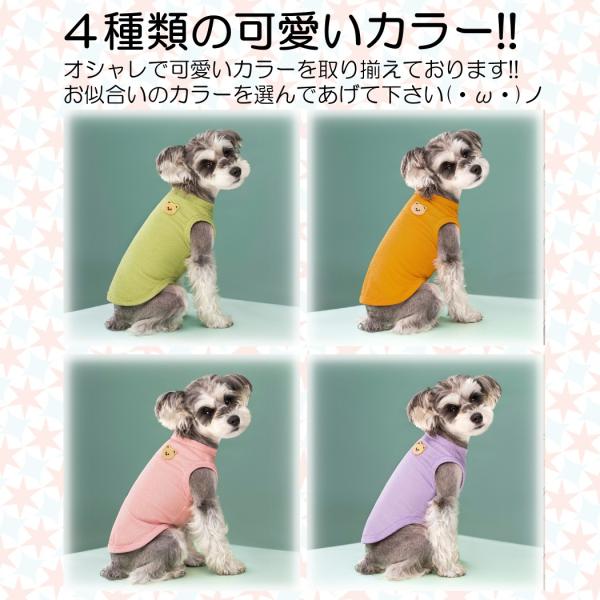 various-goods_p6wf_4_d_20260216165552