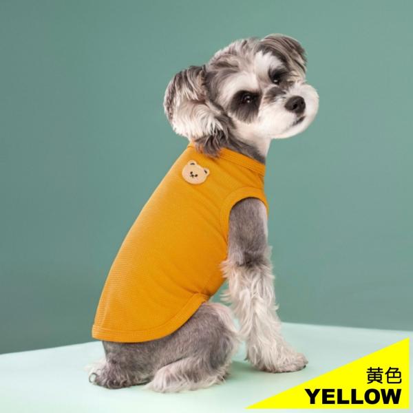 various-goods_p6wf_5_d_20260216165555