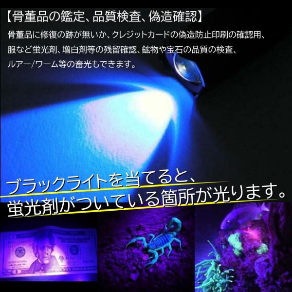 various-goods_uv-847_2_d_20220929102329