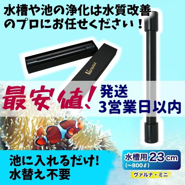 ヴァルナ・ミニ水槽用23cm 【最安値/短納期/正規店】水質改善