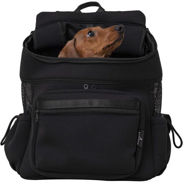 citydog/シティドッグ] ネオプレーンバックパックキャリー 犬