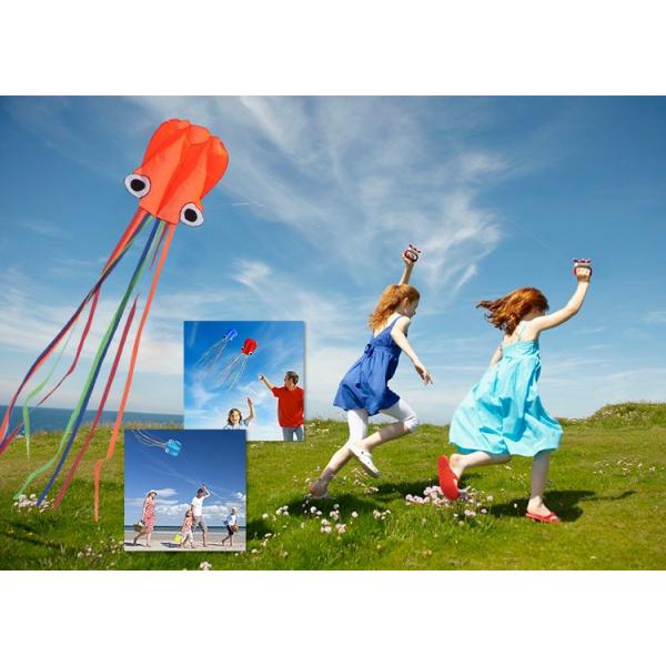 凧 凧揚げ カイト 立体タコ 凧揚げ 凧上げ タコ揚げ 4m キッズ 子供 骨なしカイト 収納バッグ付き 持ち運び便利 レジャー 公園 キャンプ スポーツ 外遊び Buyee Buyee Japanese Proxy Service Buy From Japan Bot Online