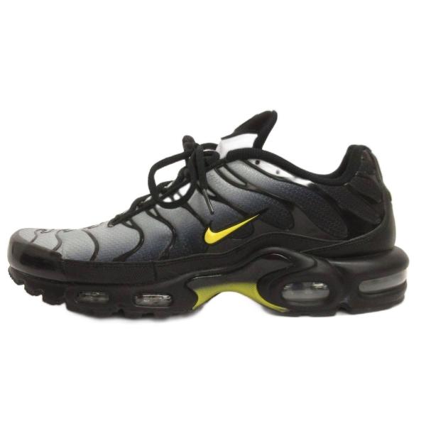 ナイキ NIKE Air Max Plus スニーカー ローカット DM0032-012 グレー 29.5cm メンズ