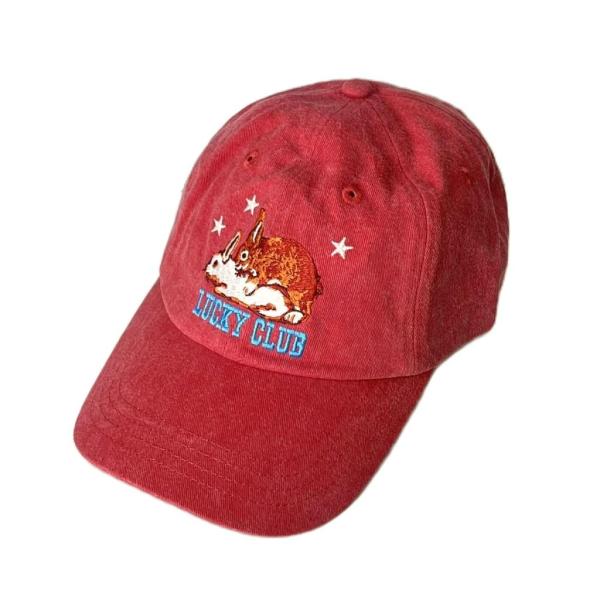 vectorpremium_213-902509110003