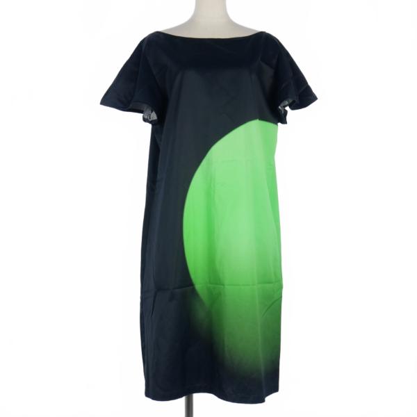 ドリスヴァンノッテン DRIES VAN NOTEN レンライ プリントワンピース