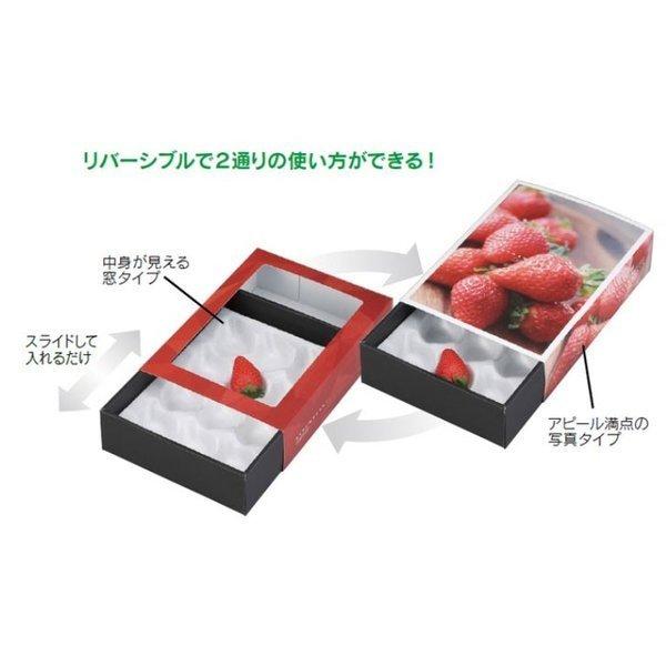 ヤマニ ストロベリースライドBOX リバーシブル 【箱のみ】100枚販売  L-2396 　 検索：化粧箱 資材 緩衝材 容器 果物 バラ ヤマニ 農園