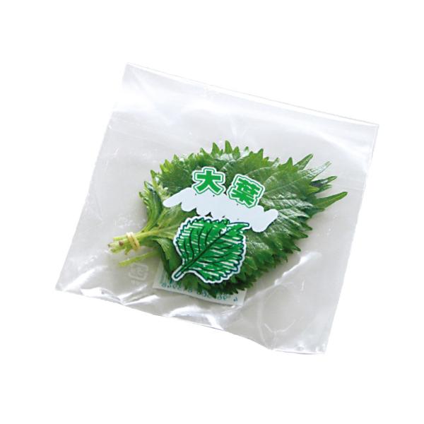 vegefrupackage_h10435