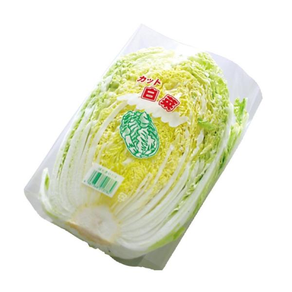 精工 NEW新鮮パック 1/2白菜シート 1 POS付 5000枚入り 検索：OPP 防曇袋 青果物 葉菜類 ボードン 野菜 せいこう ポス カット