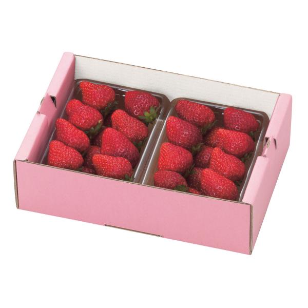 vegefrupackage_l2069p