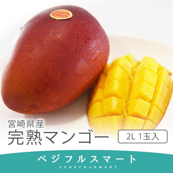 宮崎県産 完熟フローズンマンゴー 2kg