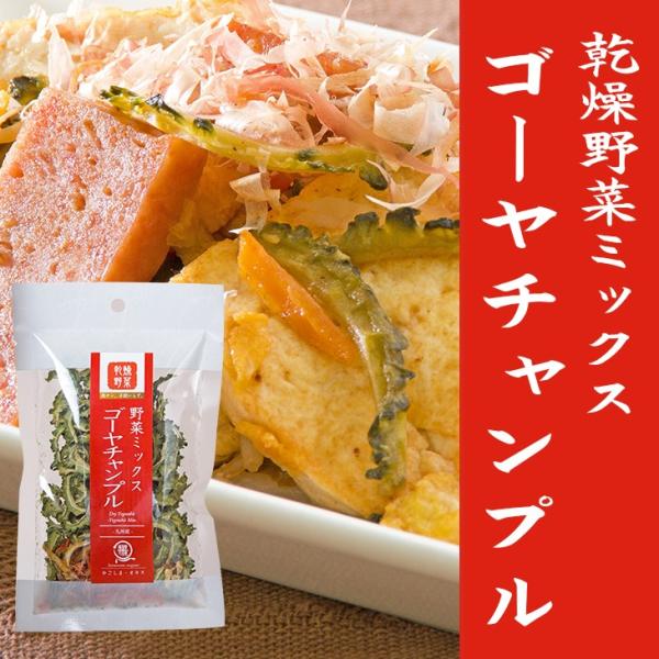 ゴーヤ ゴーヤチャンプル 乾燥野菜 15g 時短 スープ 味噌汁 仕送り 非常時 防災 備蓄 ポイント消化 グルメ 食品 お取り寄せ 在庫処分 フード おすすめ お試し M03 薩摩の恵 通販 Yahoo ショッピング