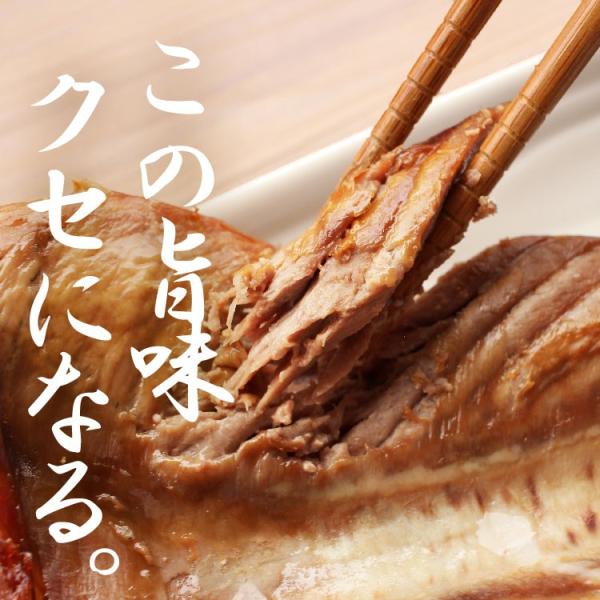 送料無料 干物 鹿児島県産 カツオの腹皮 250g弱 3パック おつまみ ポイント消化 得トクセール 食品 お試し オープン記念 グルメ ご飯のお供 訳あり Buyee Buyee Japanese Proxy Service Buy From Japan Bot Online