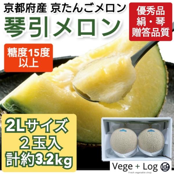 期間限定】京都府産 京たんごメロン「琴引メロン」優秀品(絹・琴) 2L