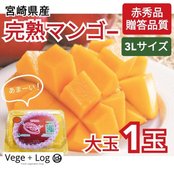 宮崎県産 完熟マンゴー A品 3L 1玉入 大玉 約350g~ ギフト用 贈答品質
